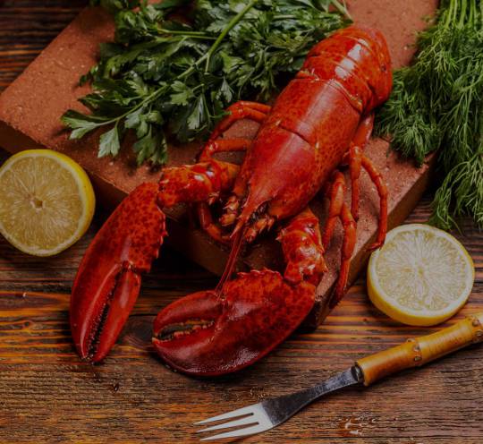 Lobster
