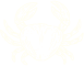shape icon